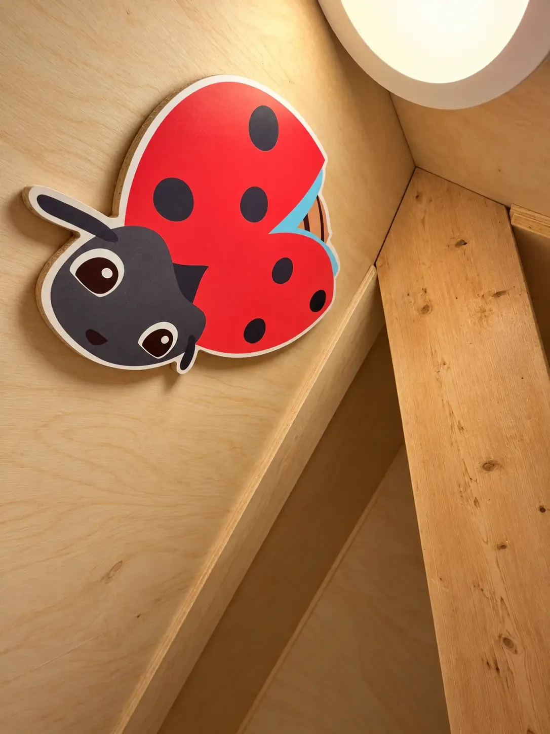 Decoratief lieveheersbeestje in contourvorm aan de houten wand